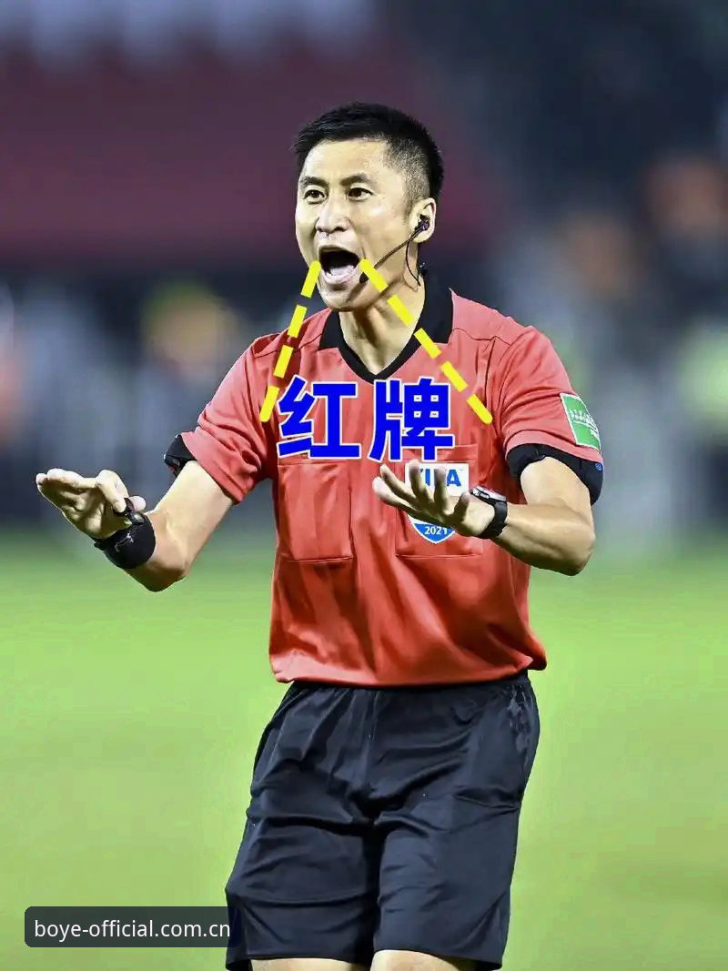 裁判的“信息茧房”：世界杯主哨马宁教你如何屏蔽噪音